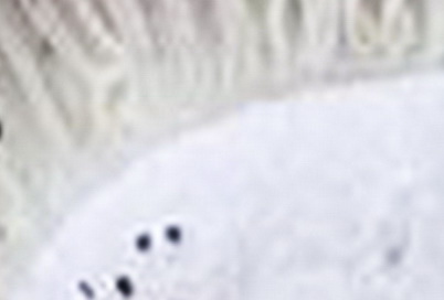 Quiz .. attuale e dobbiamo parlare piano!!!